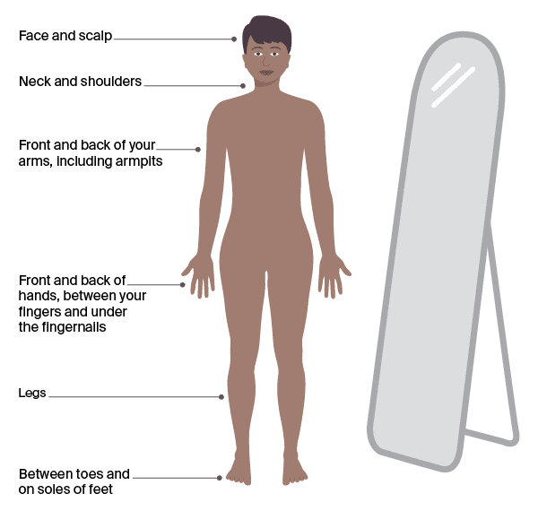 Diagram showing how to check your body for skin cancer.